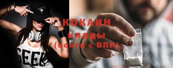 ГАЛЛЮЦИНОГЕННЫЕ ГРИБЫ Покров
